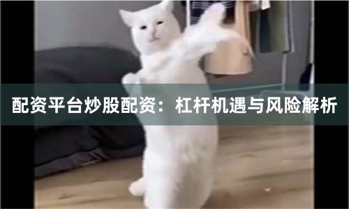 配资平台炒股配资:杠杆机遇与风险解析