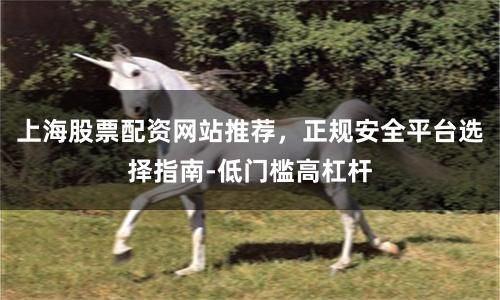 上海股票配资网站推荐，正规安全平台选择指南-低门槛高杠杆