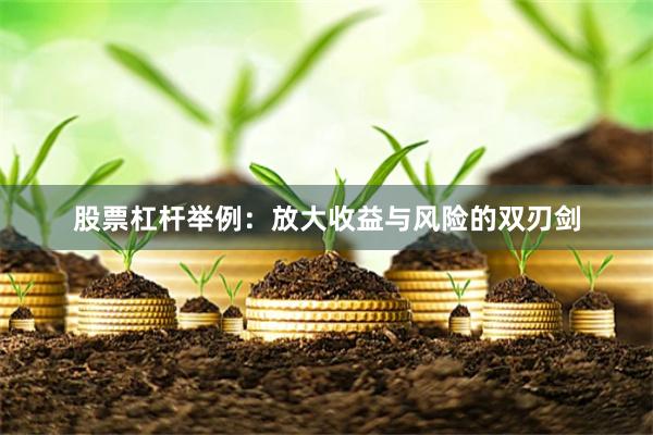 股票杠杆举例：放大收益与风险的双刃剑