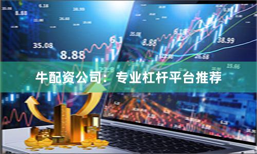牛配资公司：专业杠杆平台推荐